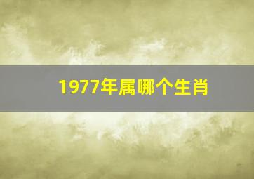 1977年属哪个生肖