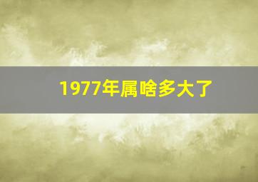 1977年属啥多大了