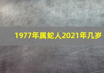 1977年属蛇人2021年几岁