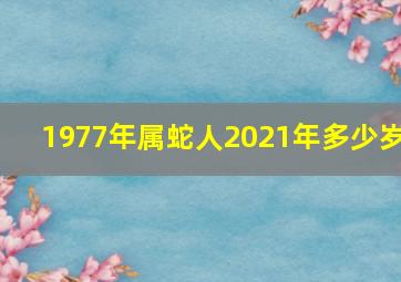 1977年属蛇人2021年多少岁