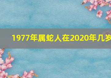 1977年属蛇人在2020年几岁