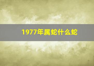 1977年属蛇什么蛇