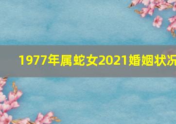 1977年属蛇女2021婚姻状况