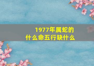 1977年属蛇的什么命五行缺什么