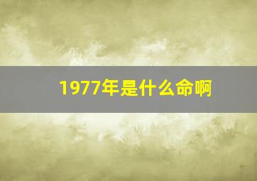 1977年是什么命啊