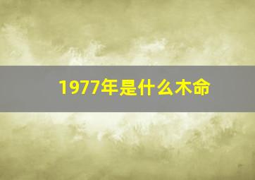 1977年是什么木命