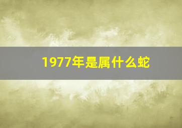 1977年是属什么蛇