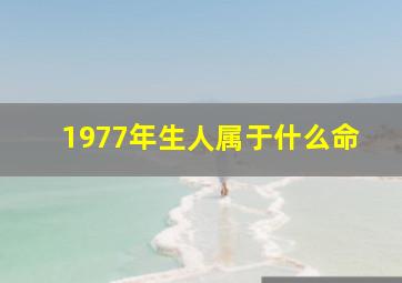 1977年生人属于什么命