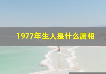 1977年生人是什么属相