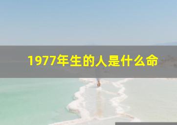 1977年生的人是什么命