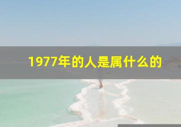 1977年的人是属什么的