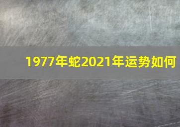 1977年蛇2021年运势如何