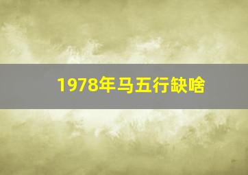 1978年马五行缺啥