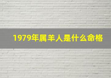 1979年属羊人是什么命格