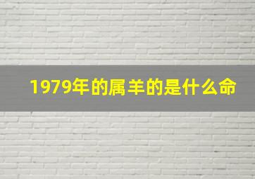 1979年的属羊的是什么命