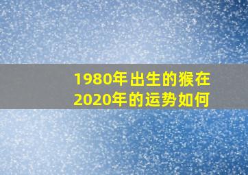 1980年出生的猴在2020年的运势如何