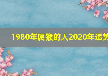 1980年属猴的人2020年运势