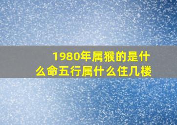 1980年属猴的是什么命五行属什么住几楼