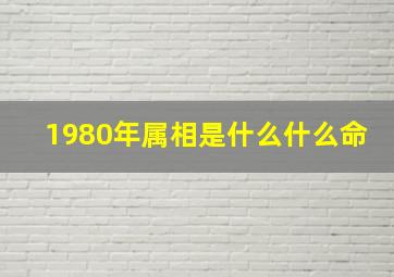 1980年属相是什么什么命