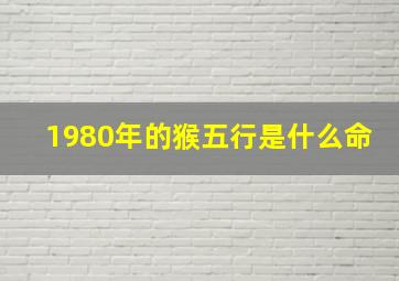 1980年的猴五行是什么命