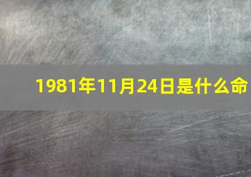 1981年11月24日是什么命