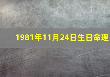 1981年11月24日生日命理