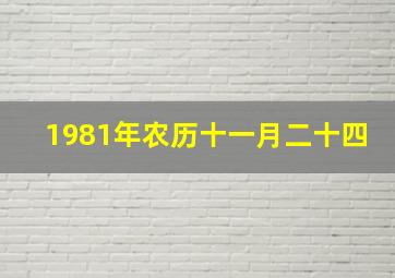 1981年农历十一月二十四