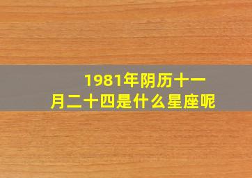 1981年阴历十一月二十四是什么星座呢