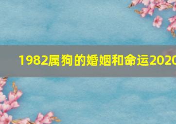 1982属狗的婚姻和命运2020