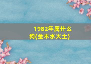 1982年属什么狗(金木水火土)