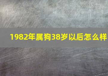 1982年属狗38岁以后怎么样