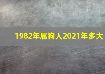 1982年属狗人2021年多大