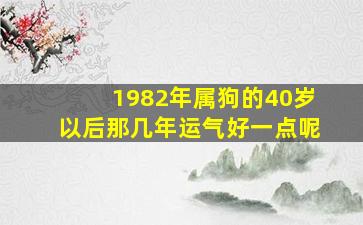 1982年属狗的40岁以后那几年运气好一点呢