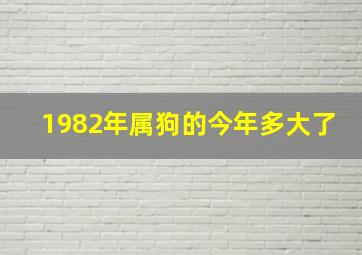 1982年属狗的今年多大了