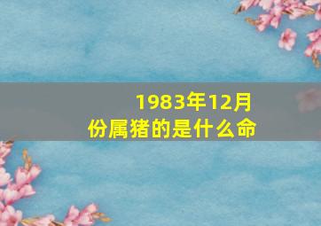 1983年12月份属猪的是什么命