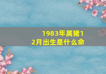 1983年属猪12月出生是什么命