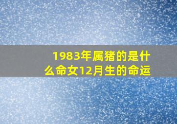 1983年属猪的是什么命女12月生的命运