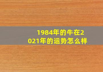 1984年的牛在2021年的运势怎么样