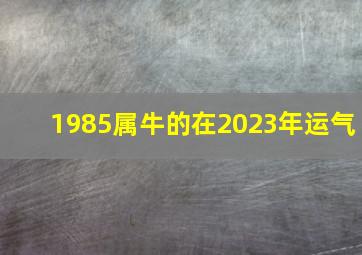 1985属牛的在2023年运气