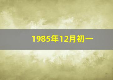 1985年12月初一