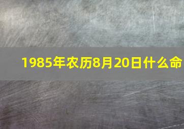 1985年农历8月20日什么命