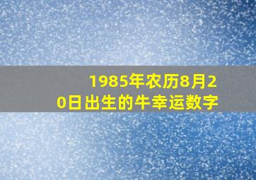 1985年农历8月20日出生的牛幸运数字