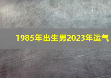 1985年出生男2023年运气