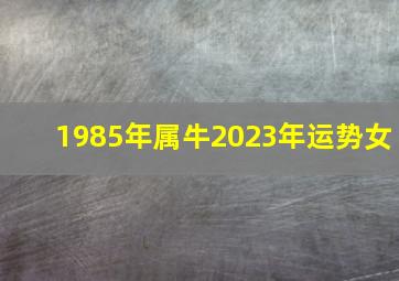 1985年属牛2023年运势女