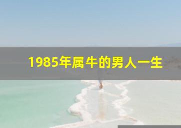 1985年属牛的男人一生