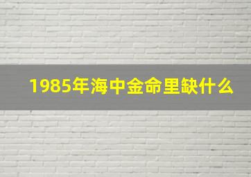 1985年海中金命里缺什么