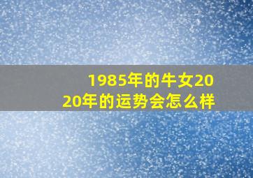 1985年的牛女2020年的运势会怎么样