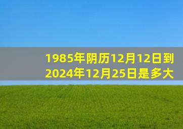 1985年阴历12月12日到2024年12月25日是多大