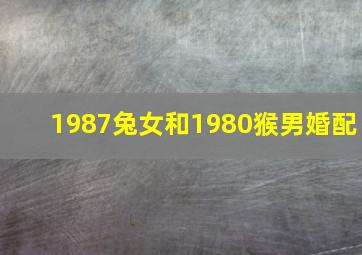 1987兔女和1980猴男婚配