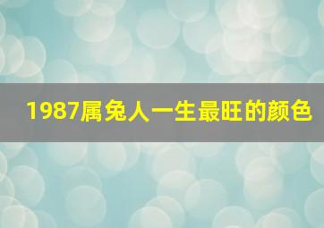 1987属兔人一生最旺的颜色